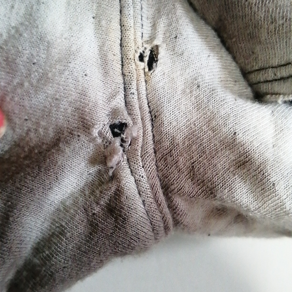 Volcom shorts - Picture 5 of 8